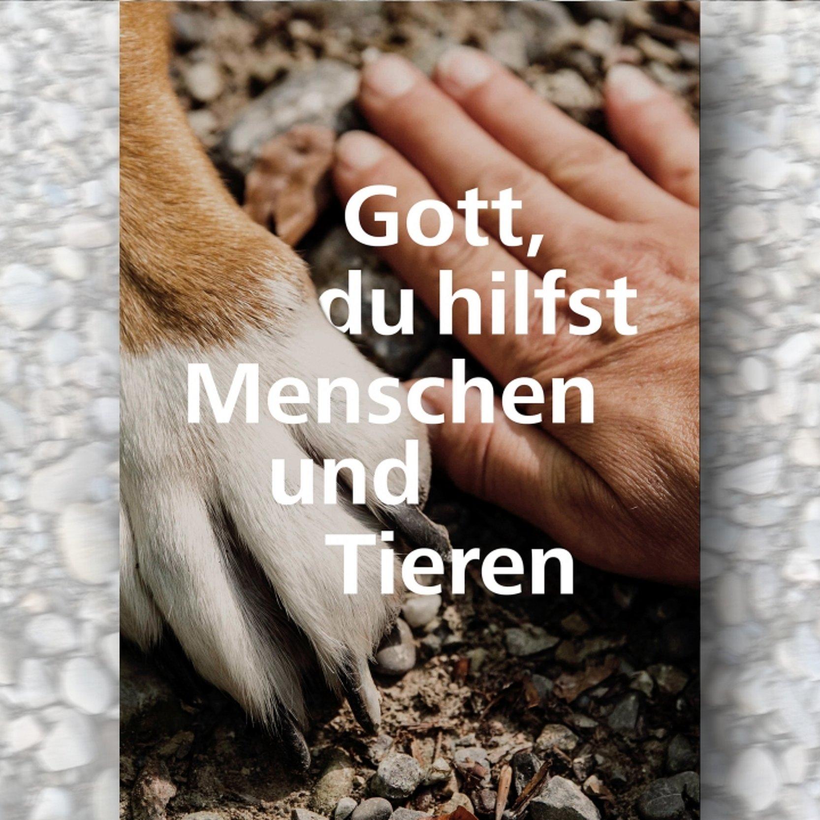 Hundepfote und menschliche Hand ruhen nebeneinander auf dem Boden