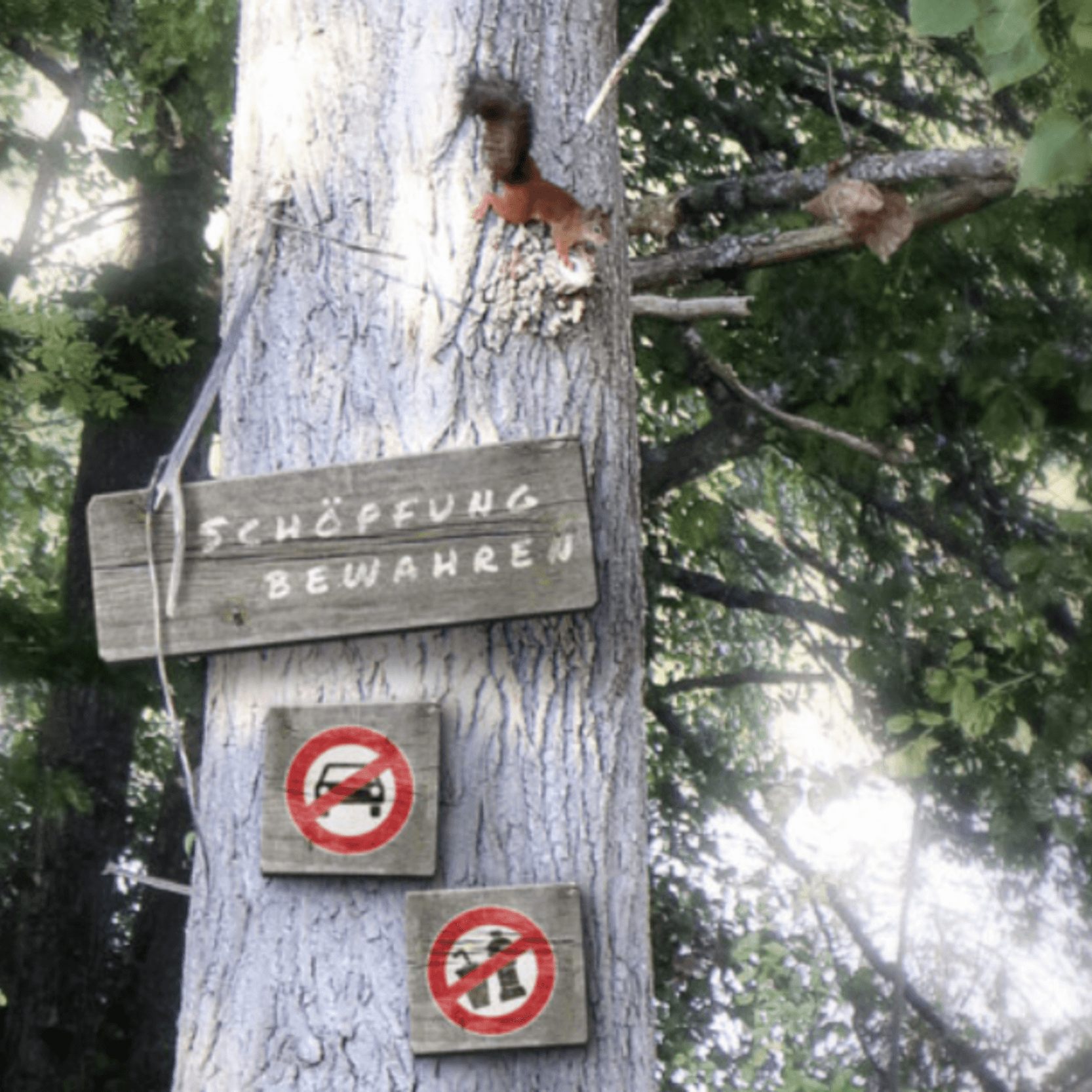 Teil eines Baumstammes im Wald. Auf diesem läuft ein Eichhörnchen. Zudem ist ein großes Schild angebracht: Schöpfung bewahren. Zwei kleinere Verbotsschilder hängen darunter: Keine Autos, keine Flaschen. Im Hintergrund ist ein Wald erkennbar. 