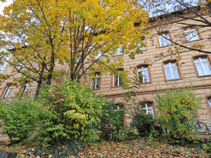 ein ehemaliges Kasernengebäude in Wiesbaden ist hinter Bäumen zu erkennen