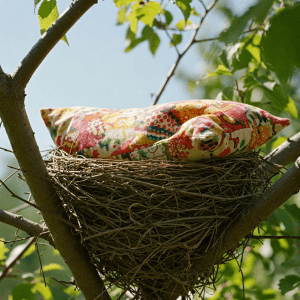 Vogelnest in einem Baum, ohne Vögel, aber  mit buntem Kissen