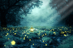 Waldlichtung bei Nacht mit leuchtenden Glühwürmchen