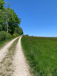 Blick in die Landschaft ohne Personen. Man sieht links einen geschotterten Weg, der einen Anstieg hinausführt. Rechts ist eine Wiese.