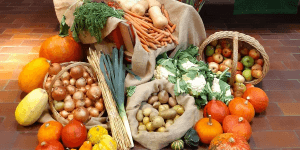 Körbe und Säcke mit Kartoffeln, Zwiebeln, Äpfeln, Kürbisse und anderes Gemüse