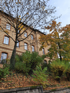 durch Bäume hindurch sieht man die Mopskaserne in Wiesbaden
