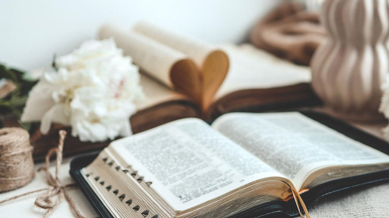 Pfingsten in der Bibel Aufgeschlagene Bibel und weiße Pfingstrosen