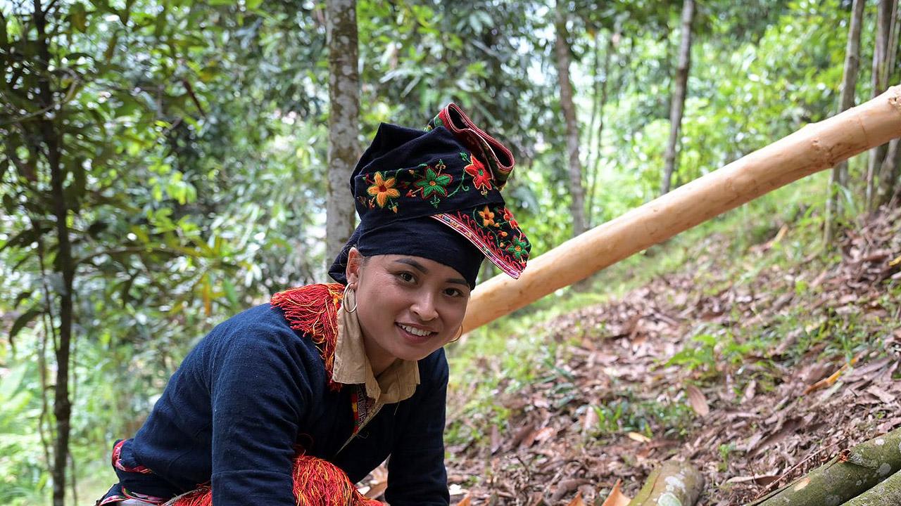 Zimtanbau - Brot für die Welt Frau mit wertvoller Tracht kniet neben Baumrindenstücken in einem Wald
