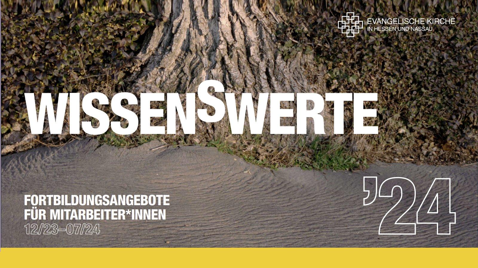 Baum am Ufer eines Baches