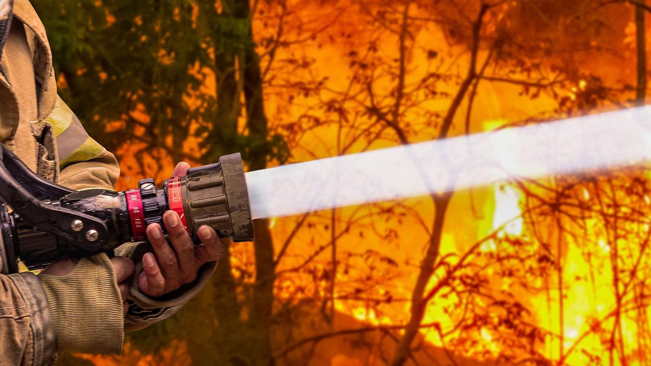 Waldbrand Feuerwehrschlauch, aus dem Wasser spritzt, dahinter starkes Feuer
