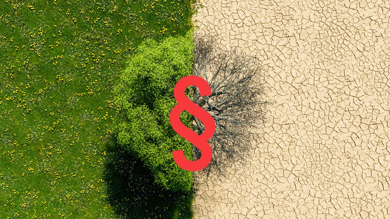 Klimaschutzgesetz Baum von oben: die linke Hälfte ist grün, die rechte vertrocknet. Darüber ein Paragraphen-Zeichen