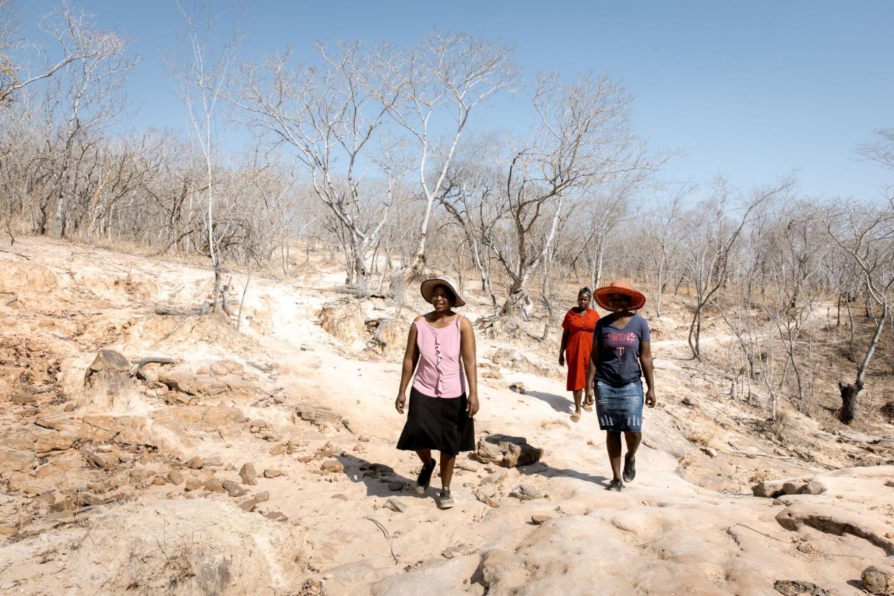 Brot für die Welt Simbabwe Projekt MeDRA Drei Frauen gehen in karger Landschaft.