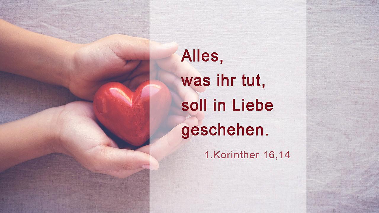 Jahreslosung 2024 Alles, was ihr tut, soll in Liebe geschehen. (1. Korinther 16,14)