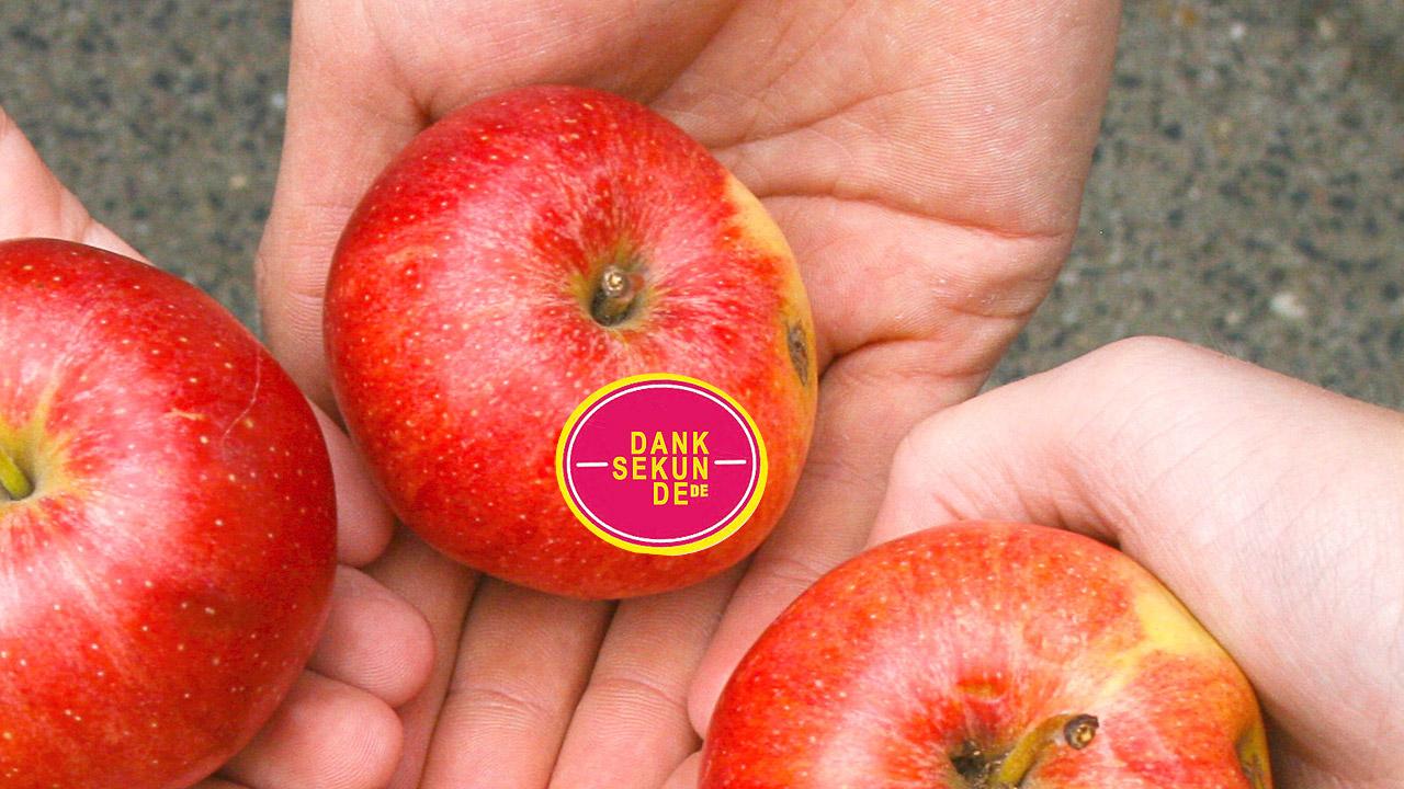 Danksekunde Danksekunde-Logo auf Apfel