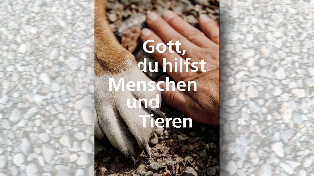 Ökumenischer Schöpfungstag 2025 Motto Hundepfote und menschliche Hand ruhen nebeneinander auf dem Boden