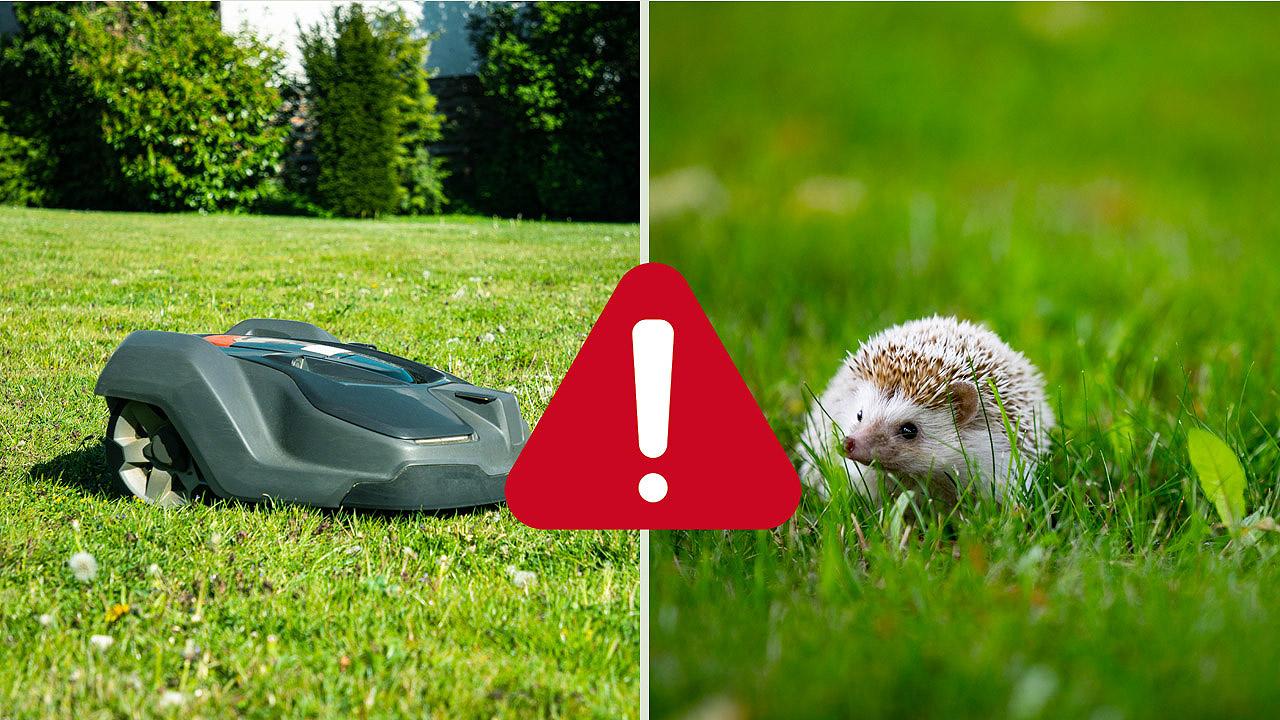 Mähroboter und Igel Mähroboter und Igel sowie ein Warnschild