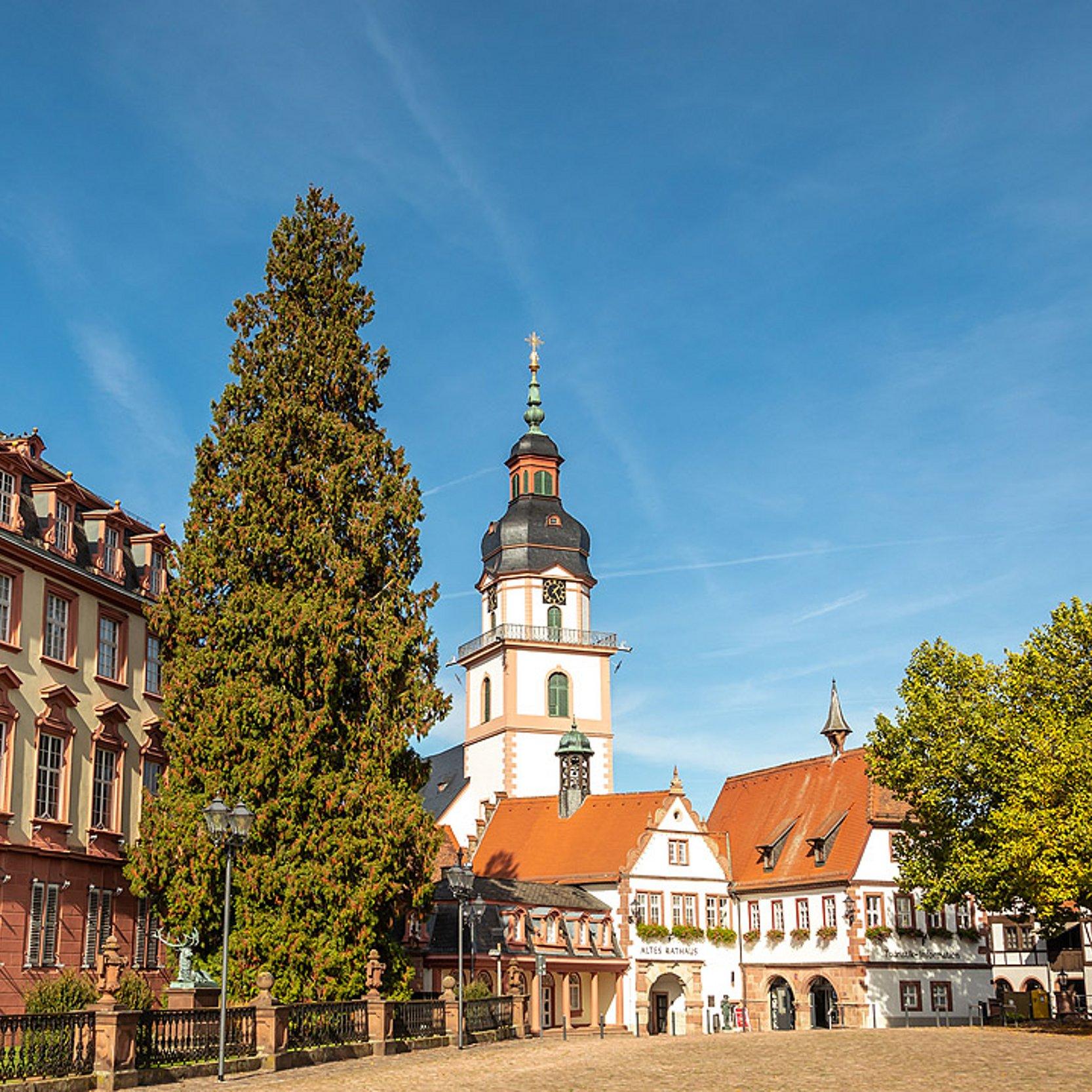 Erbach im Odenwald Schloss, Kirche und Fachwerkhäuschen