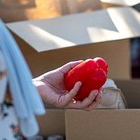 Spenden Eine Frau holt aus einem Karton eine rote Paprika