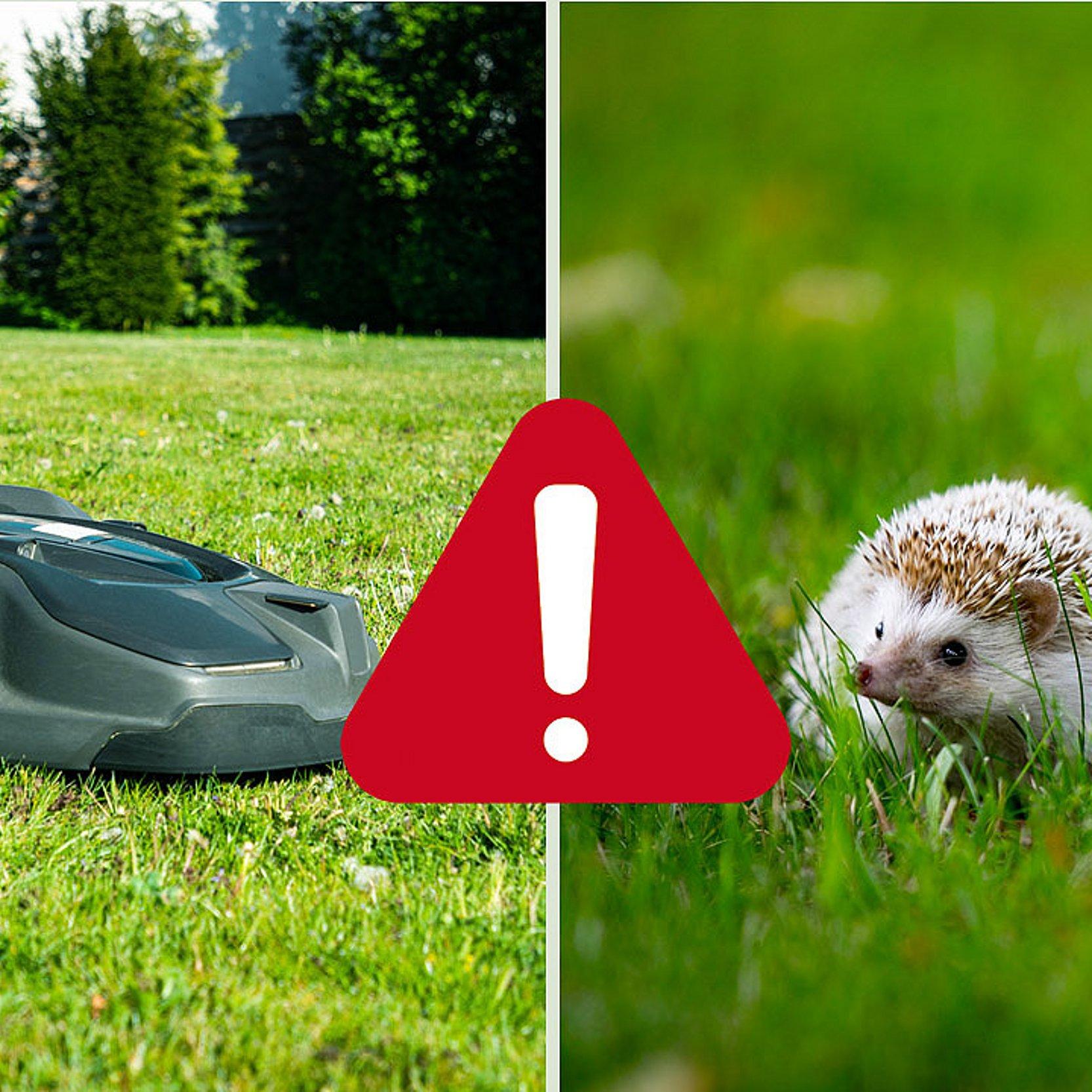 Mähroboter und Igel Mähroboter und Igel sowie ein Warnschild