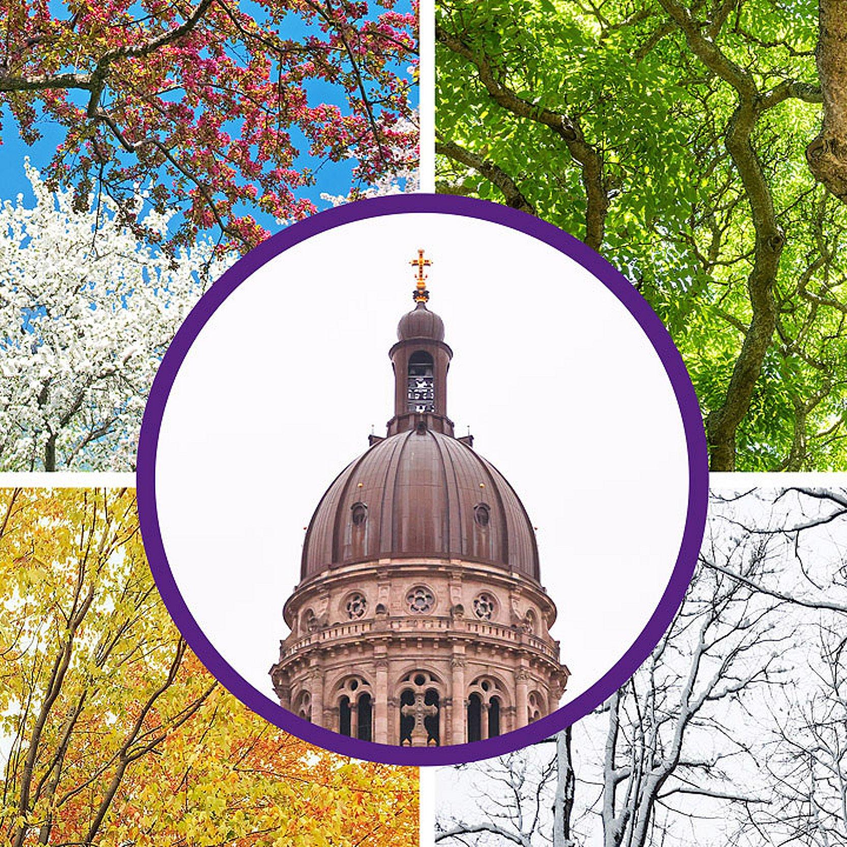 Kirchenjahr Im Hintergrund ein Baum in den 4 Jahreszeiten, in der Mitte der Kirchturm der Christuskirche Mainz