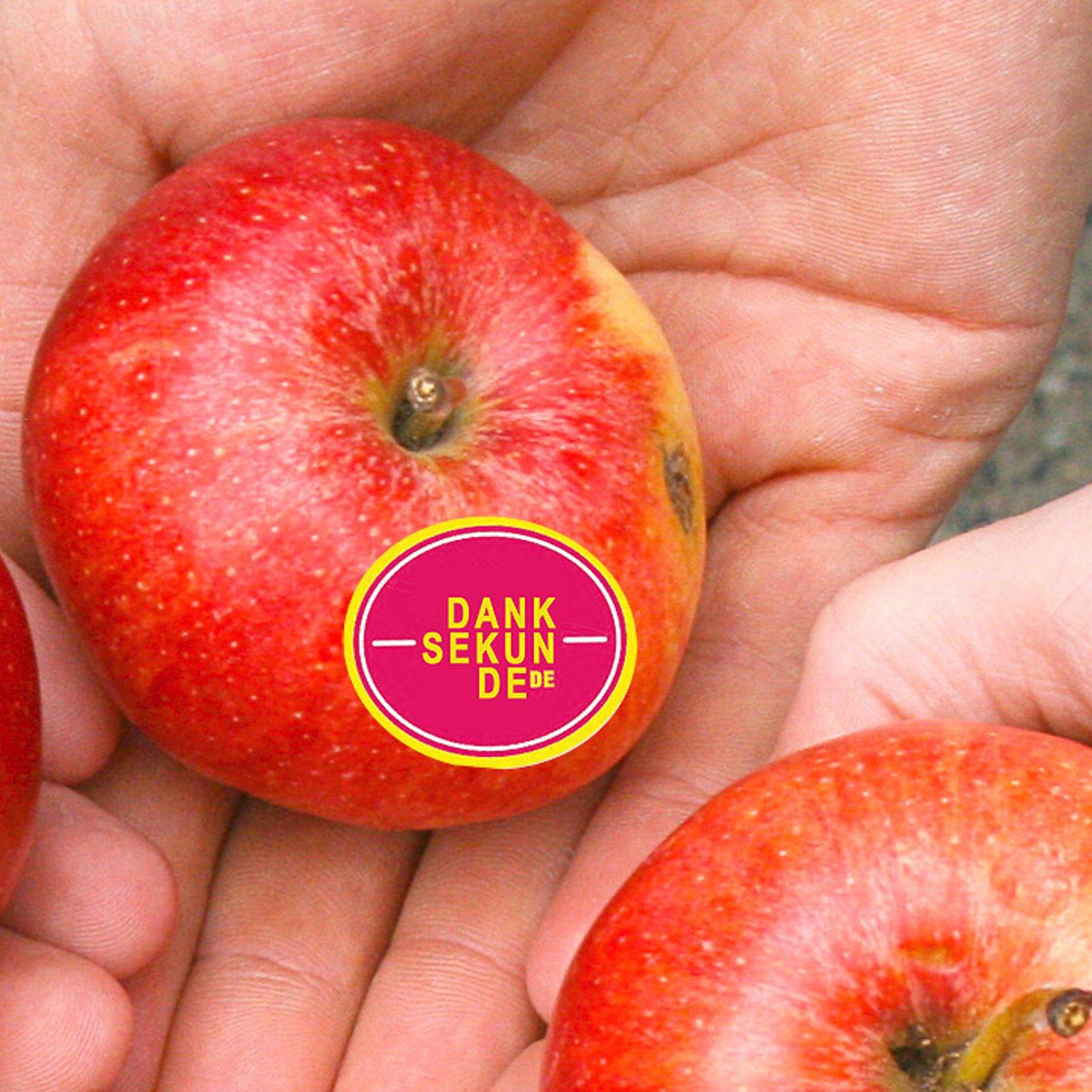 Danksekunde Danksekunde-Logo auf Apfel