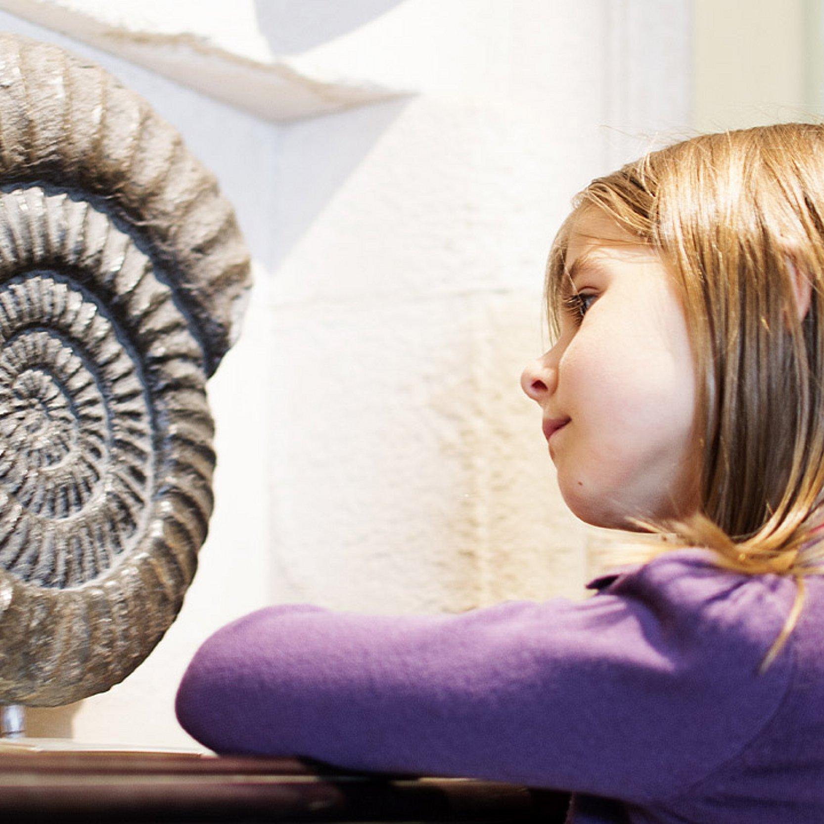 Ammonit und Mädchen