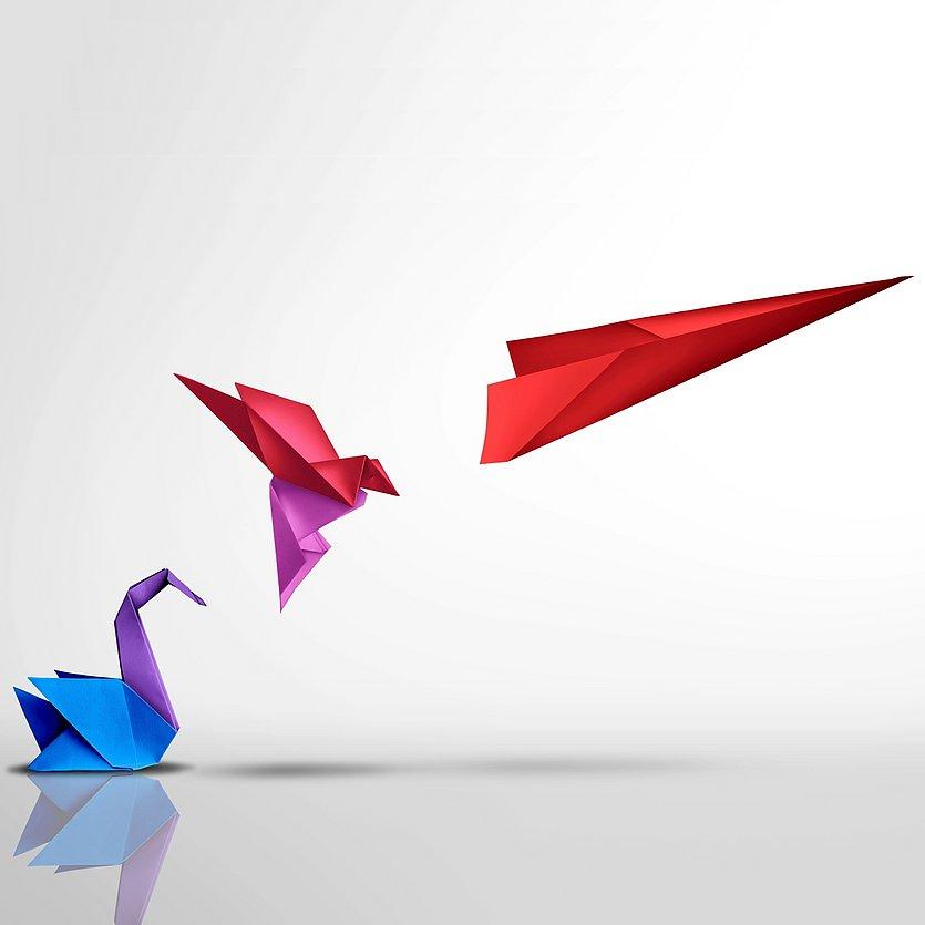head_transformation Bunt gefaltete Origami-Figuren vor hellem Hintergrund: Links ein blauer und lilafarbener Vogel am Boden, darüber ein rosa Vogel im Flug und rechts ein rotes Papierflugzeug.