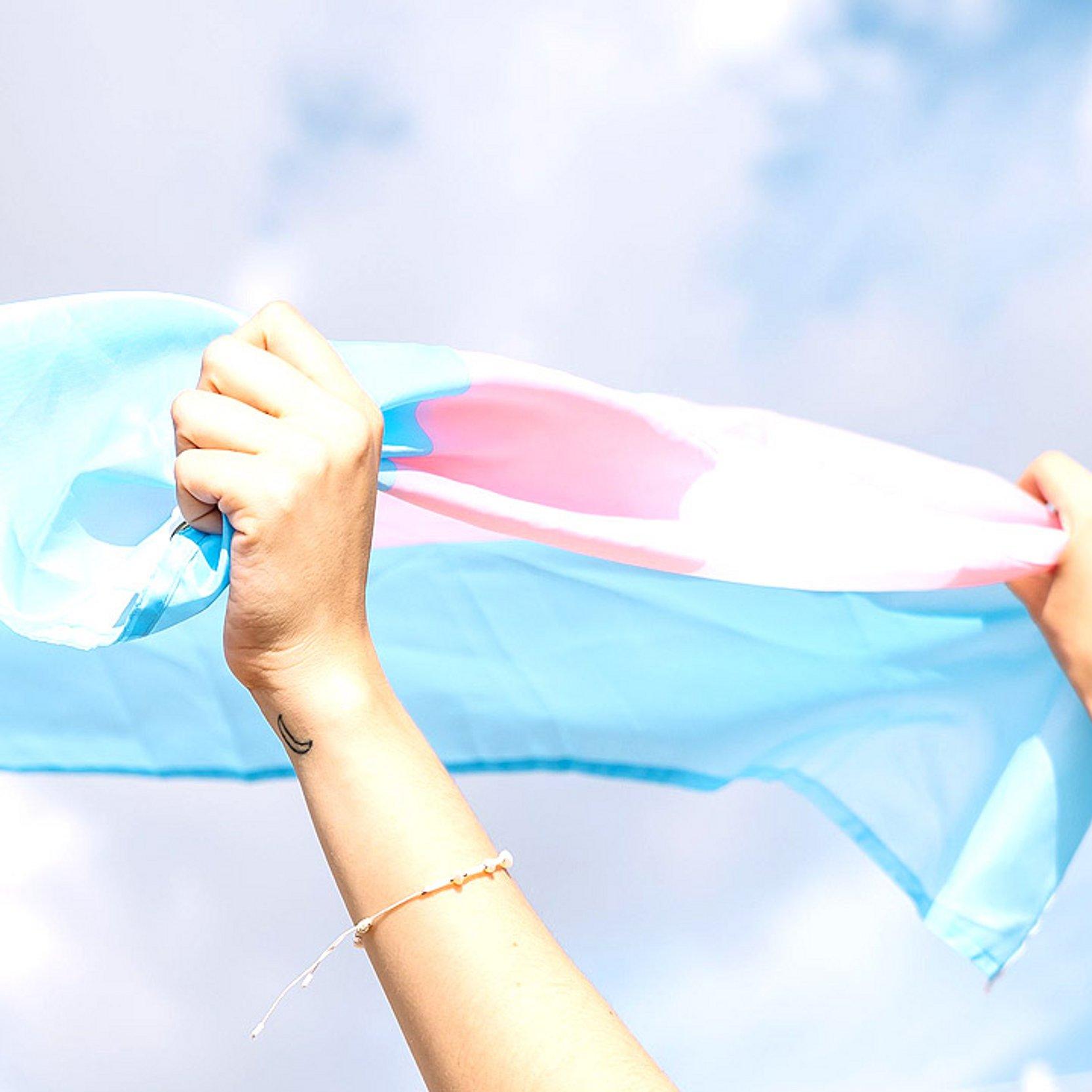 Trans Transfahne mit weiß, rosa und hellblau