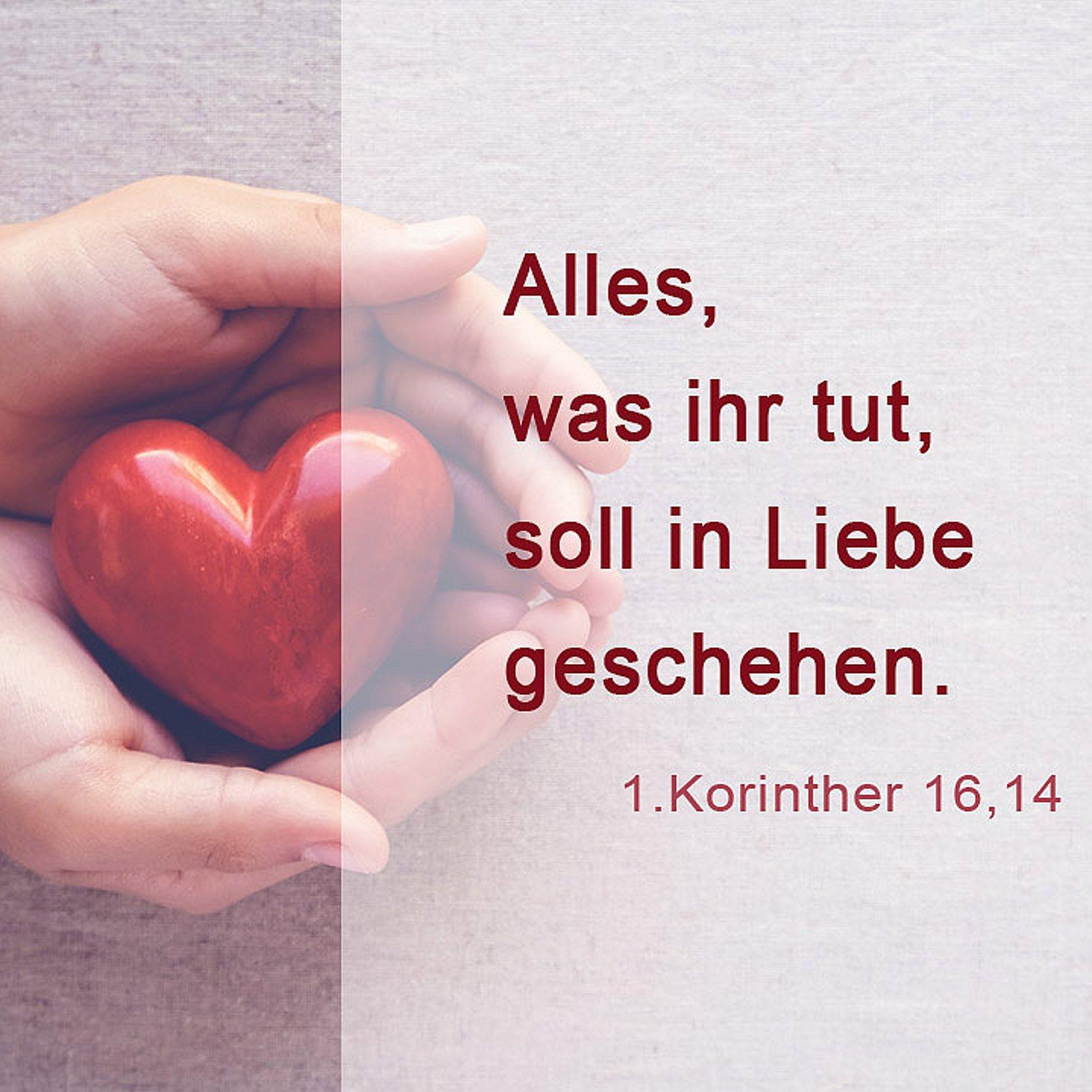 Jahreslosung 2024 Alles, was ihr tut, soll in Liebe geschehen. (1. Korinther 16,14)