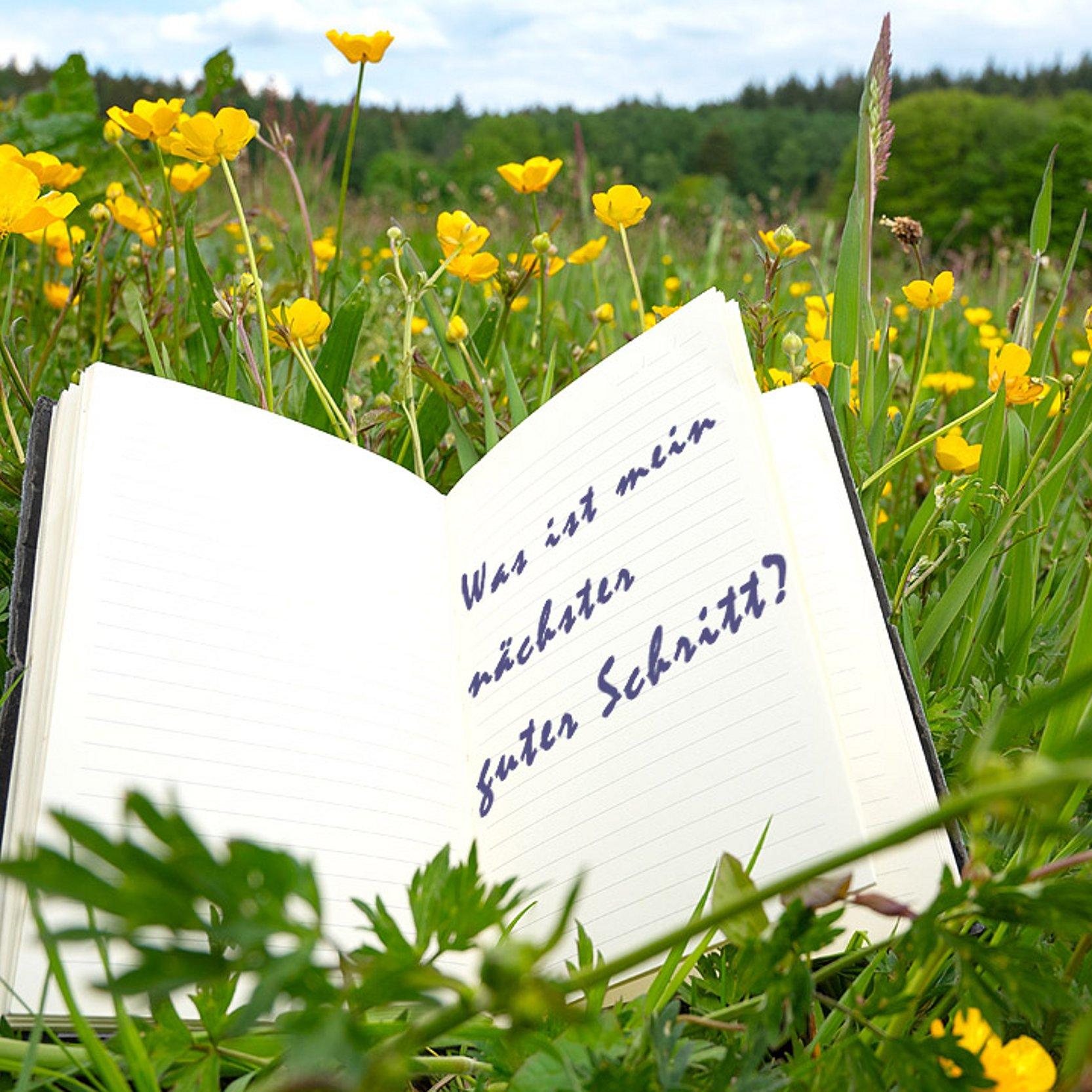 Pilgern Ein offenes Heft, das im Gras liegt mit der Frage: Was ist mein nächster guter Schritt?