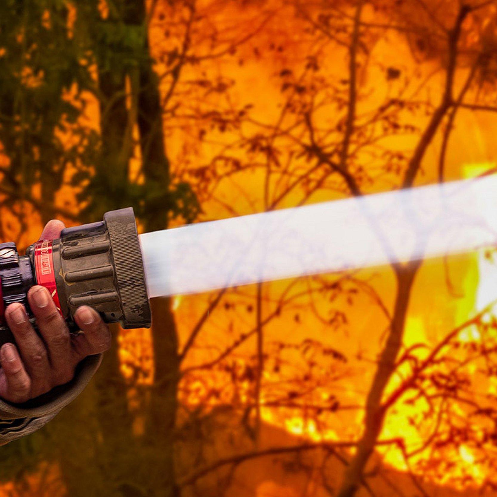 Waldbrand Feuerwehrschlauch, aus dem Wasser spritzt, dahinter starkes Feuer