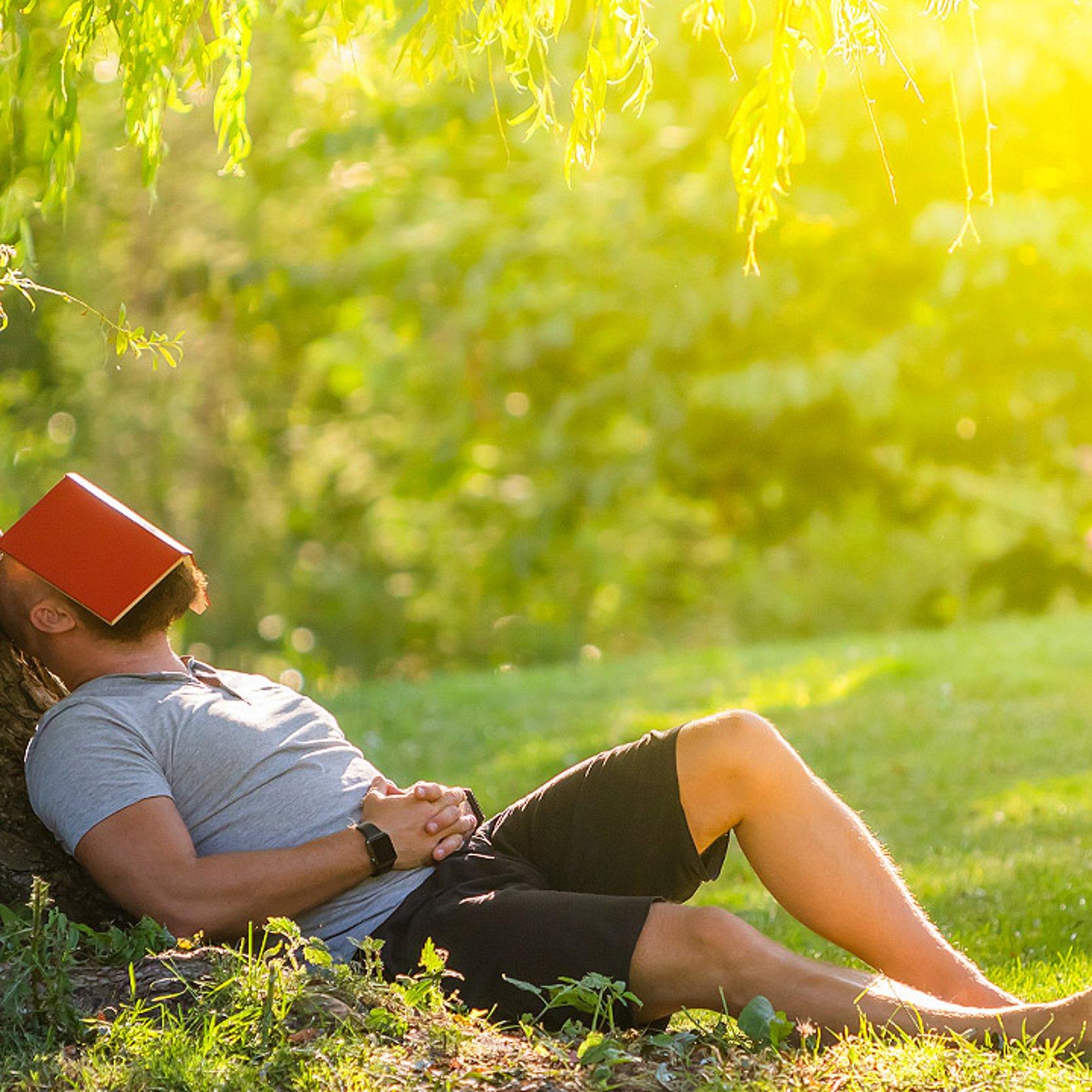 Pause unter einem Baum Pause unter einem Baum