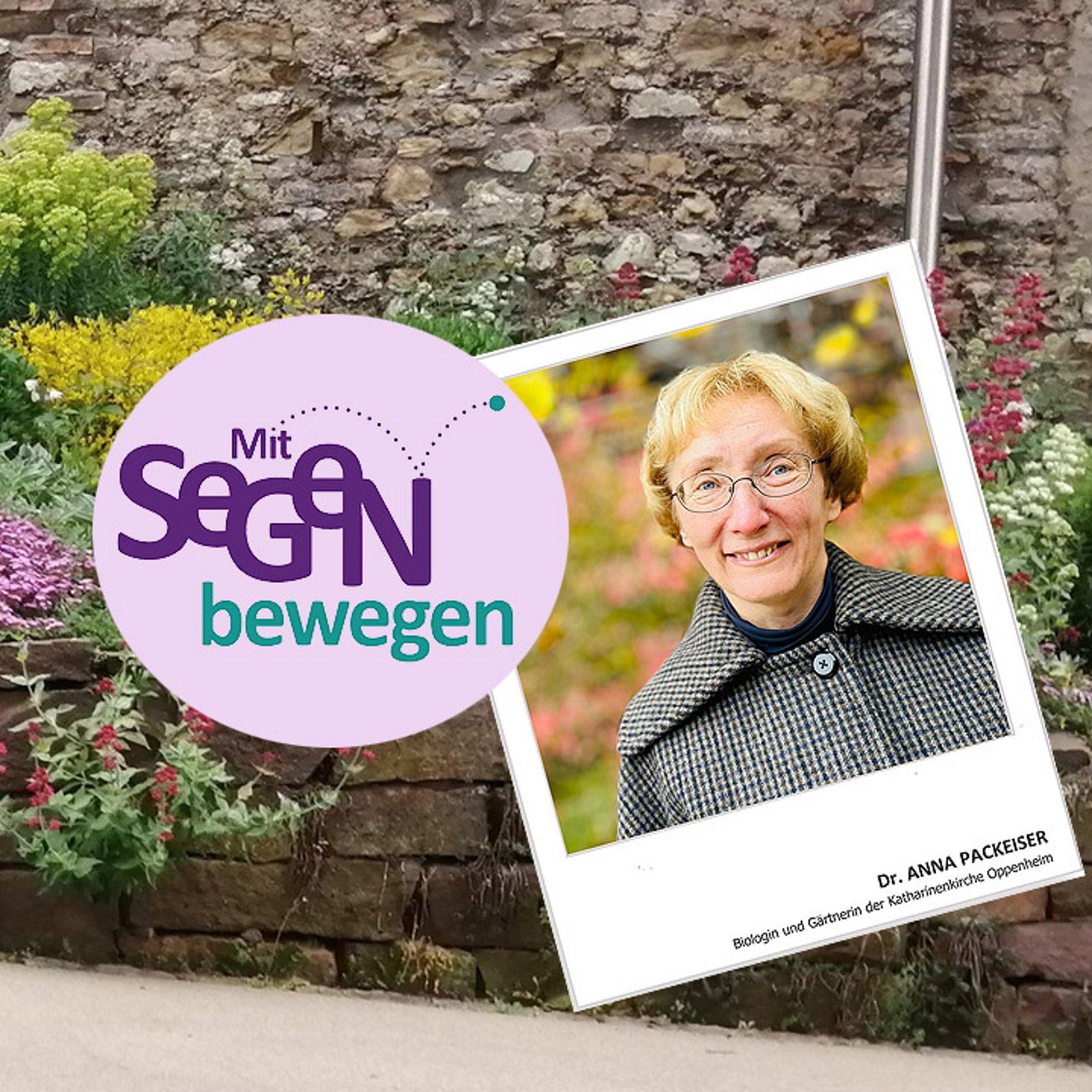 Anna Packeiser Anna Packeiser