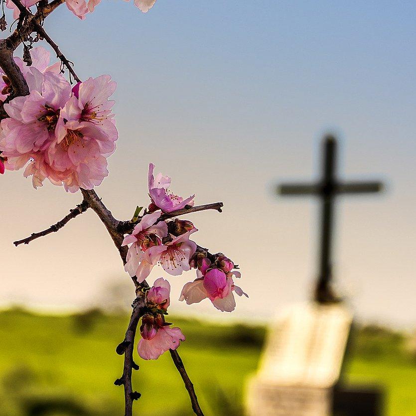 Ostern feiern Blütenzweig und Kreuz