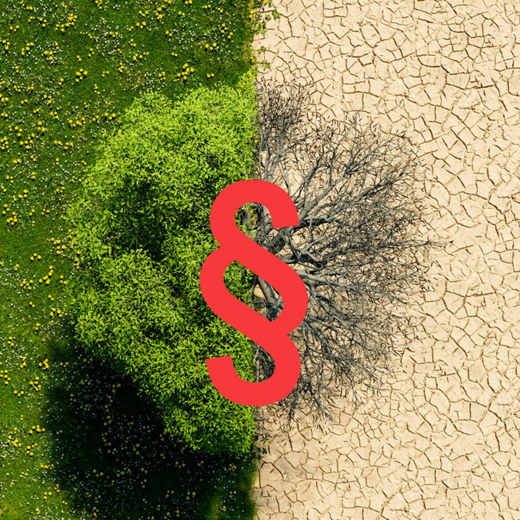 Klimaschutzgesetz Baum von oben: die linke Hälfte ist grün, die rechte vertrocknet. Darüber ein Paragraphen-Zeichen