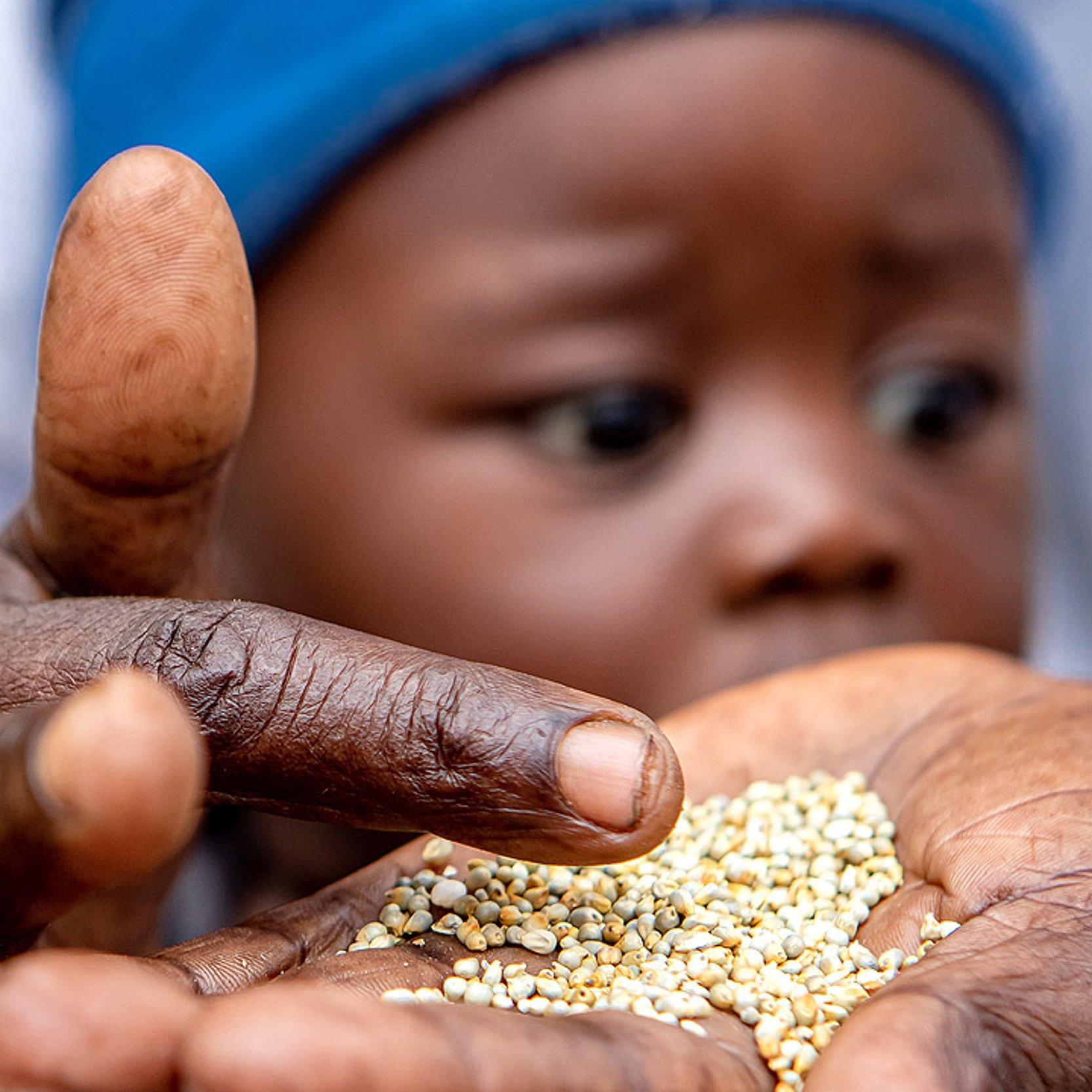 Mann mit Kind auf dem Schoß hat Getreidekörner in seiner Hand