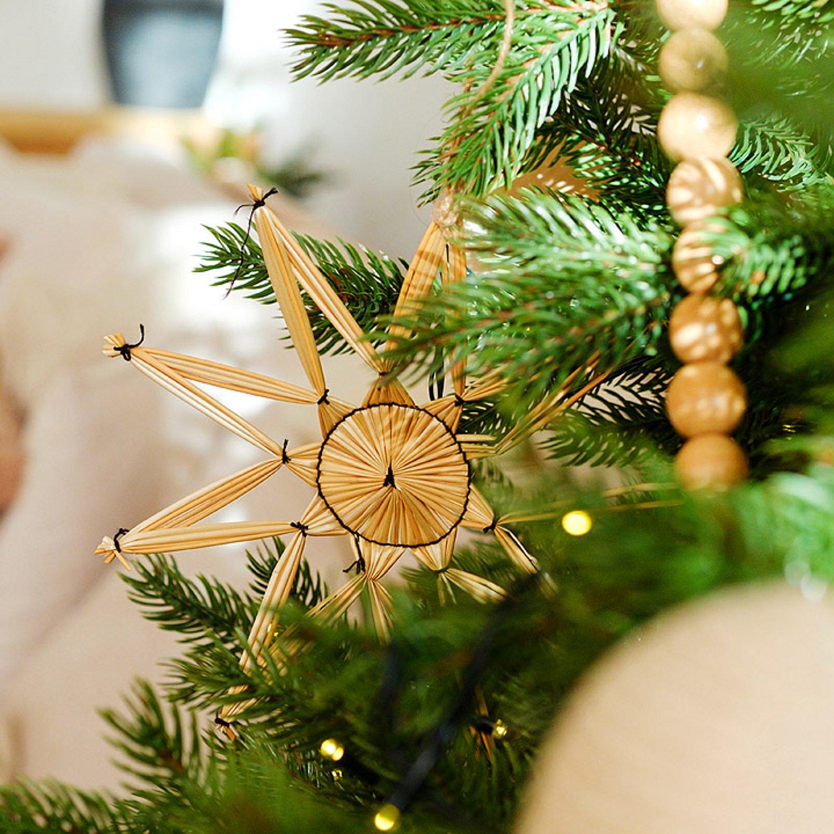 Strohstern Strohstern