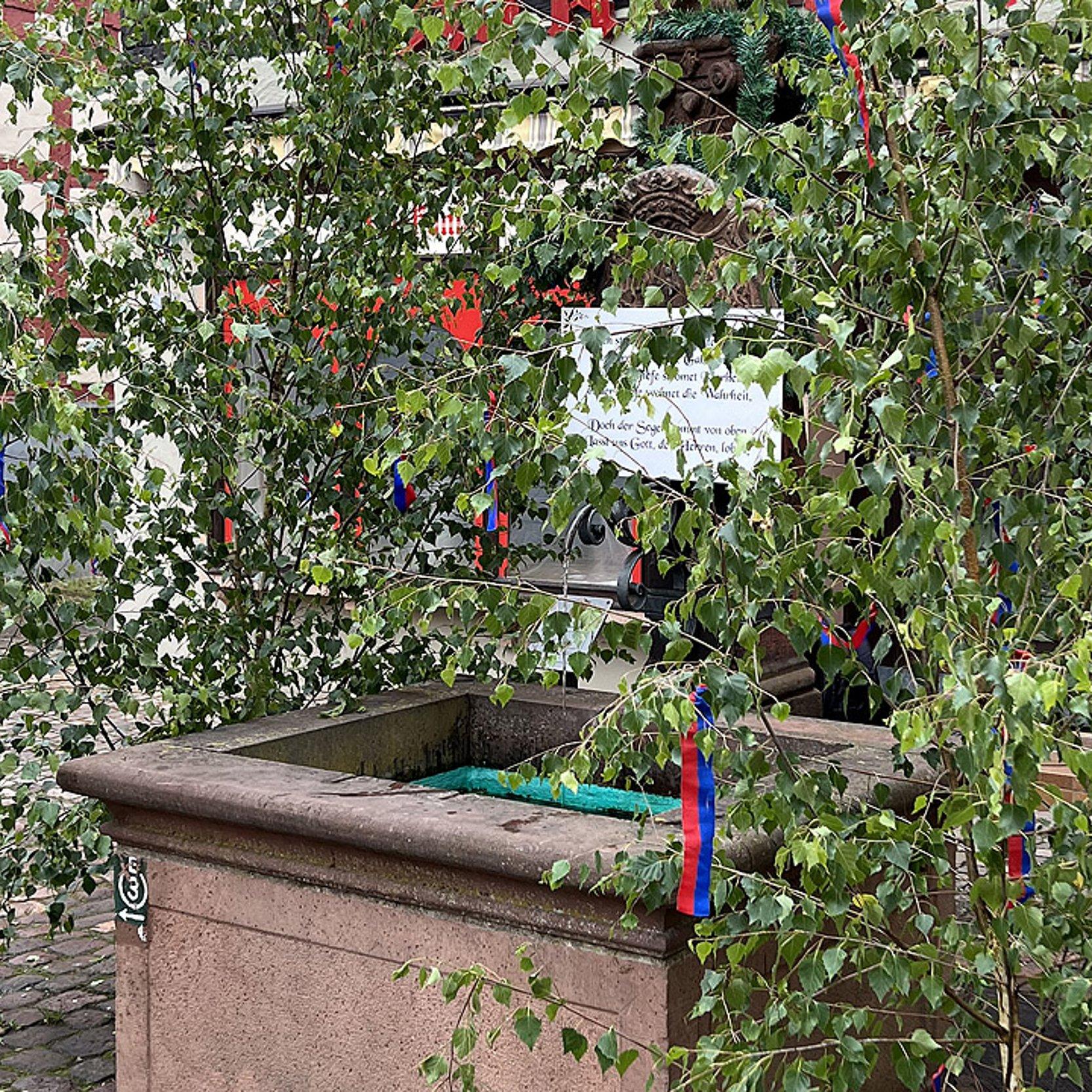 Pfingstbrunnen Birkengrün mit Bändern um einen Brunnen