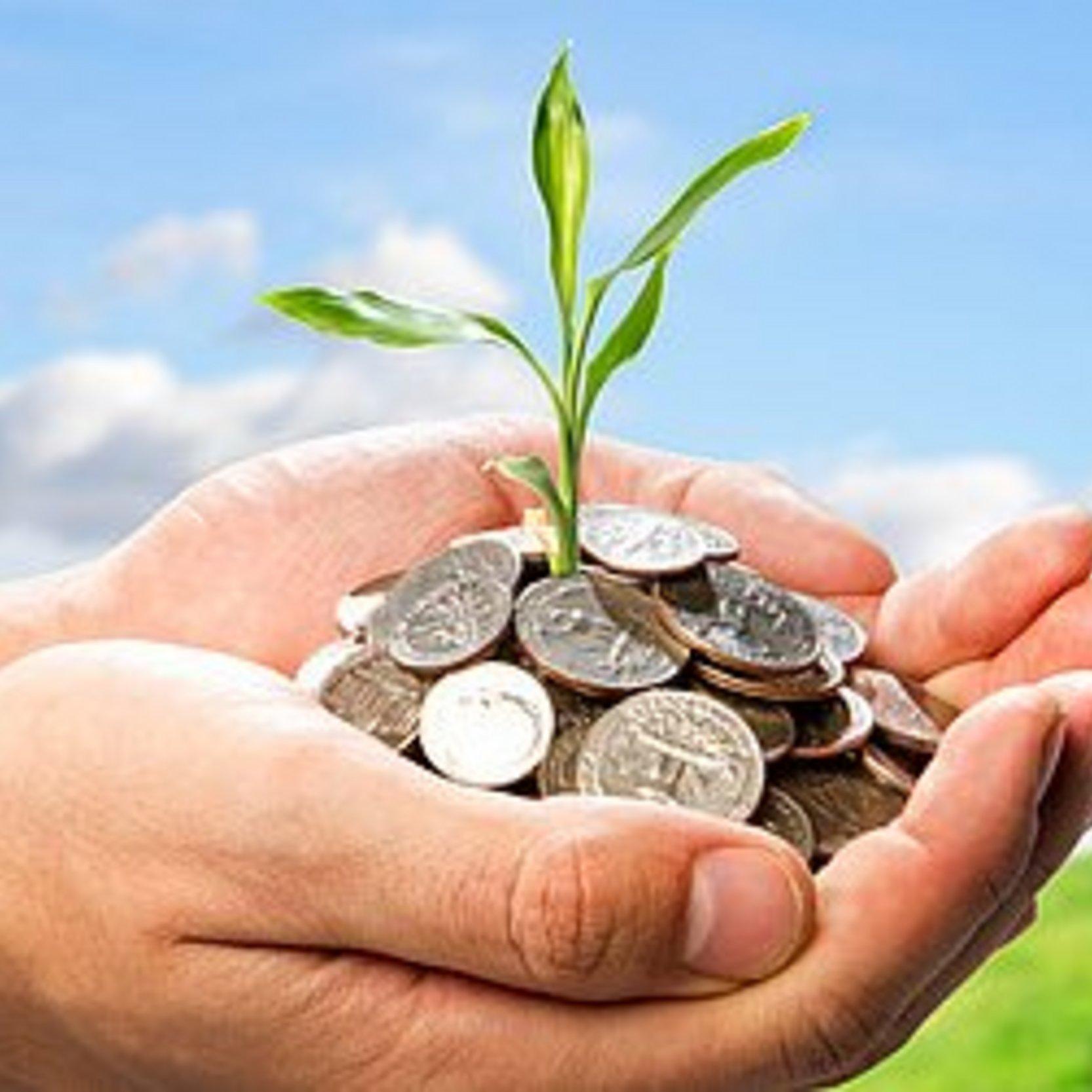 Vor einer Wiese und dem Himmel hält eine Hand einen Haufen Geld, aus dem ein grünes Pflänzchen wächst.