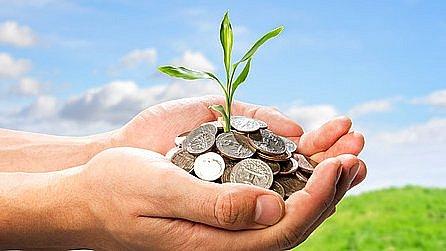 Vor einer Wiese und dem Himmel hält eine Hand einen Haufen Geld, aus dem ein grünes Pflänzchen wächst.