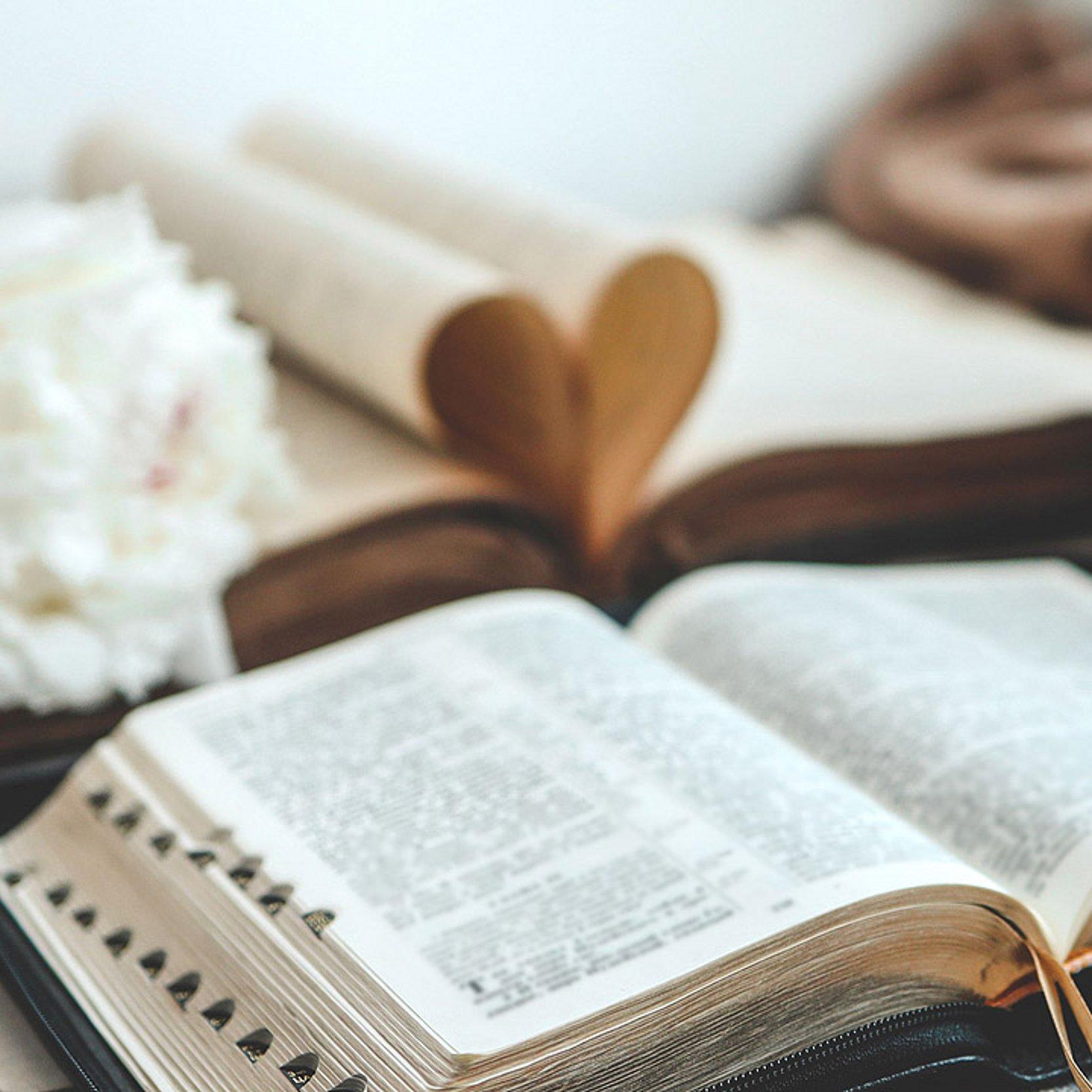 Pfingsten in der Bibel Aufgeschlagene Bibel und weiße Pfingstrosen