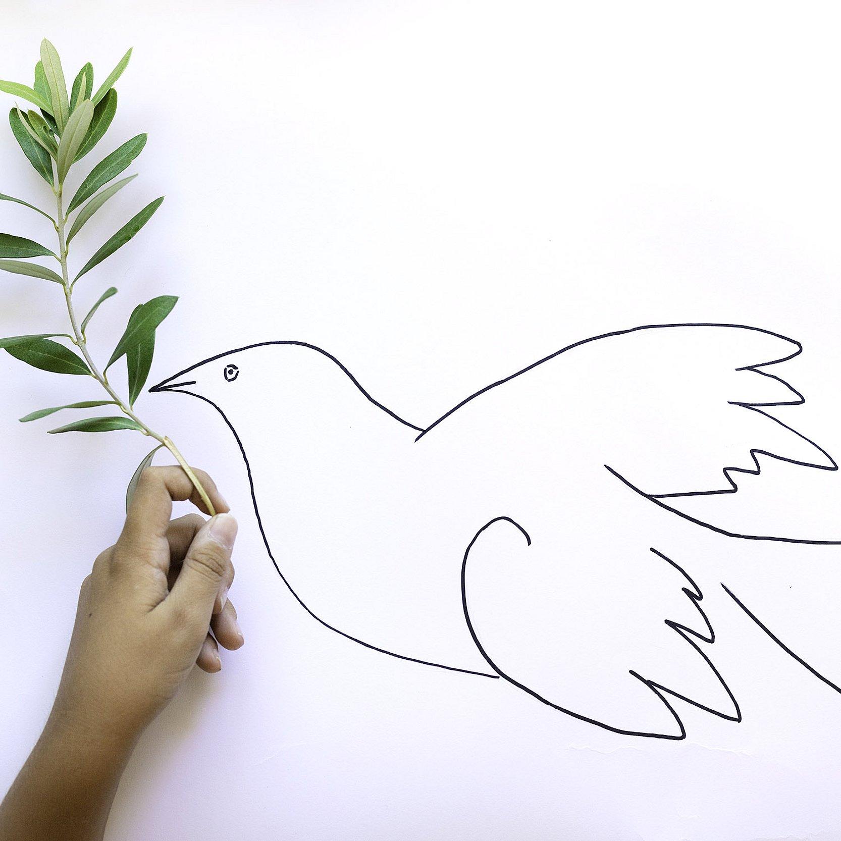 Friedenstaube Hand hält Olivenbaumzweig vor gezeichnete Taube