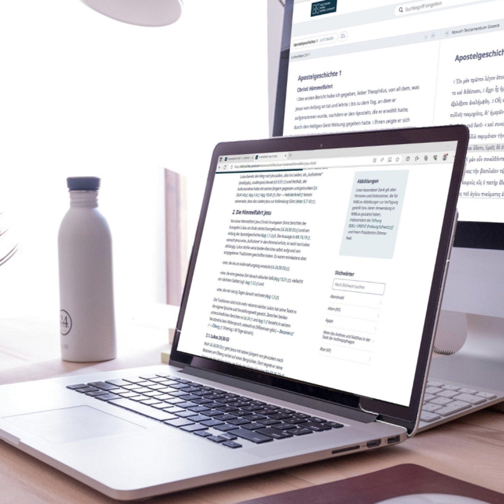 Symbolbild WiBiLex Heller, aufgeräumter Arbeitsplatz mit einem geöffneten Laptop vor einem großen Monitor. Auf beiden Bildschirmen ist Text dargestellt. Neben dem Laptop stehen eine Wasserflasche und eine kleine Pflanze in einem Topf auf einem Holztisch.