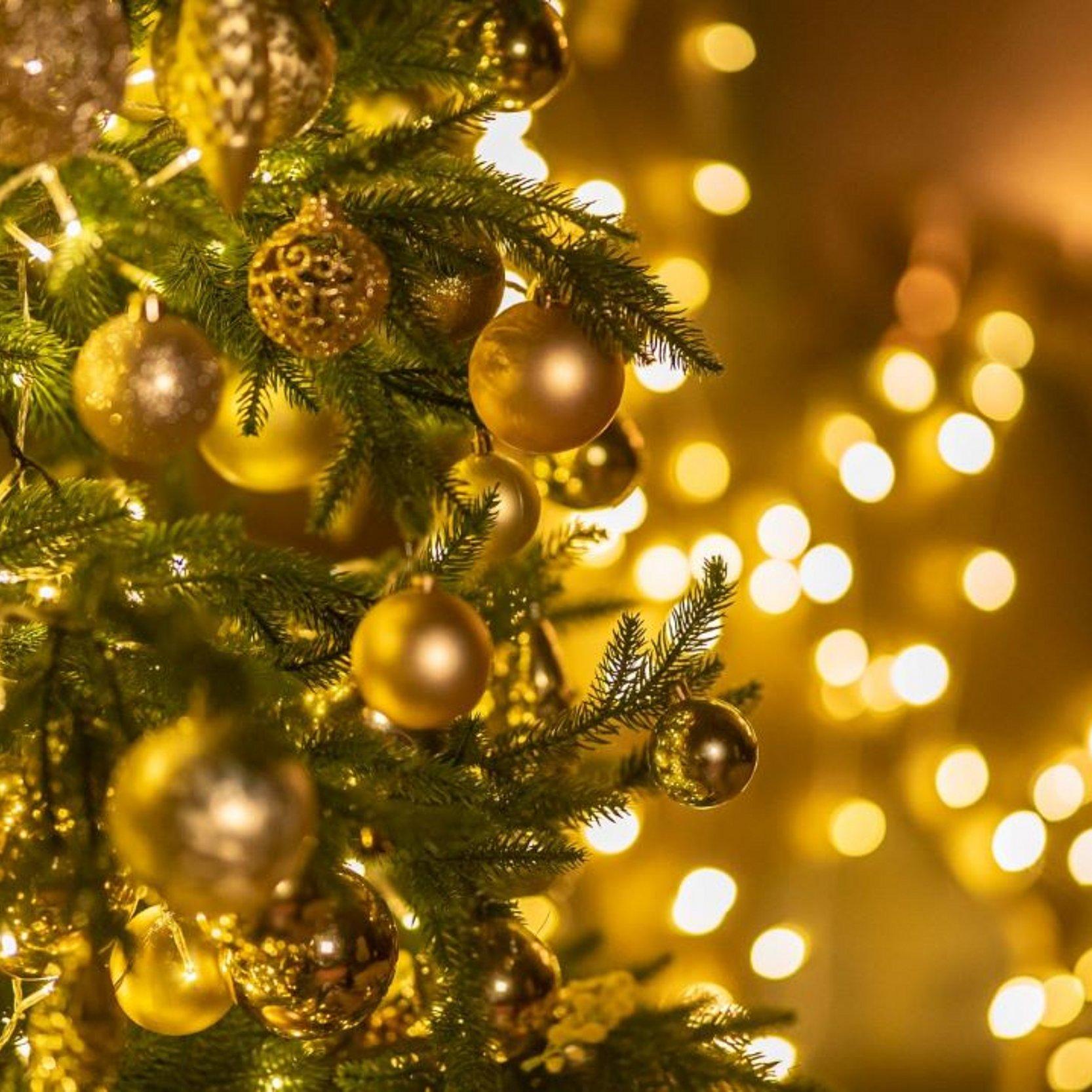 Weihnachtsbaum_GettyImages Ein Weihnachtsbaum im Anschnitt in vollem Schmuck