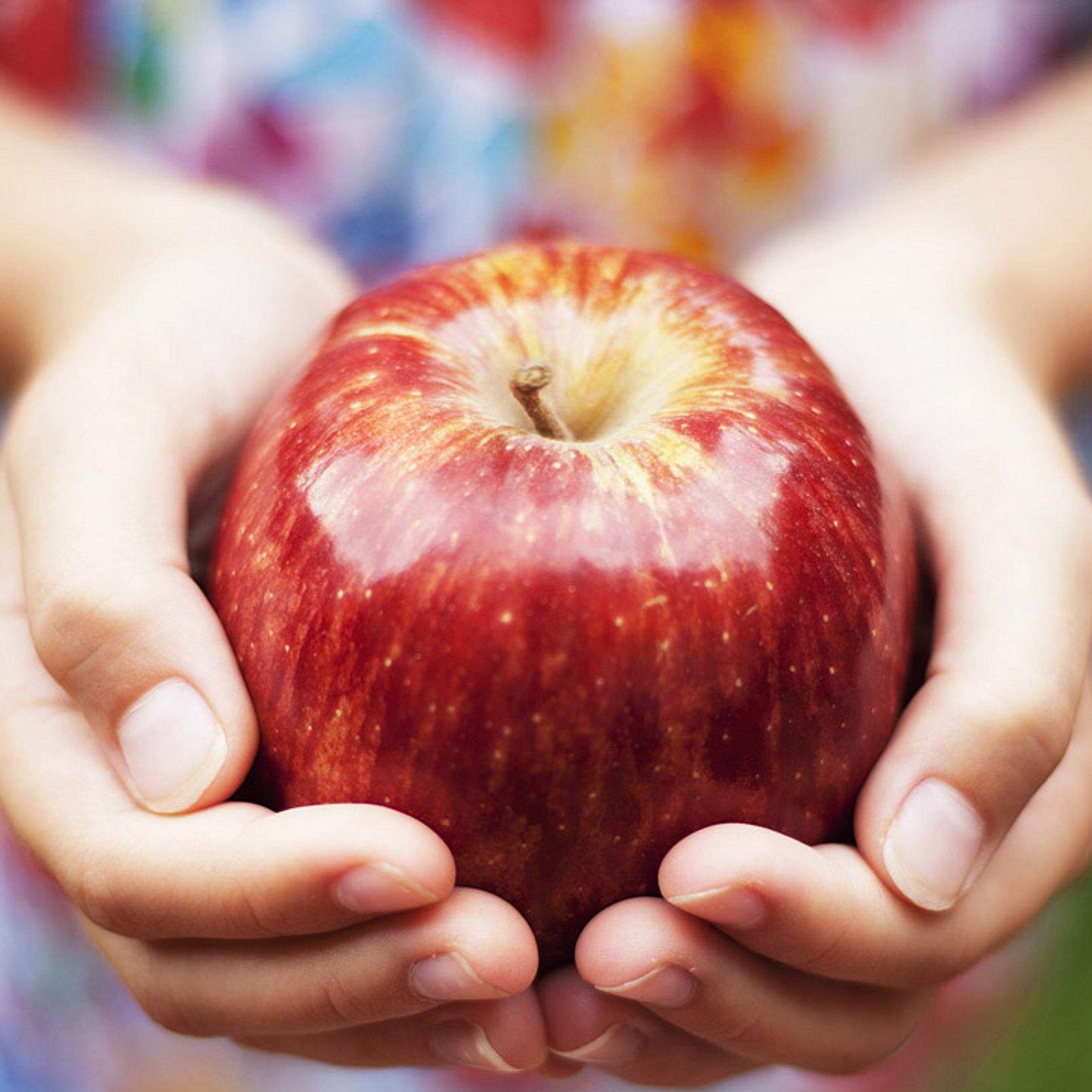 Apfel Hände, die einen roten Apfel halten