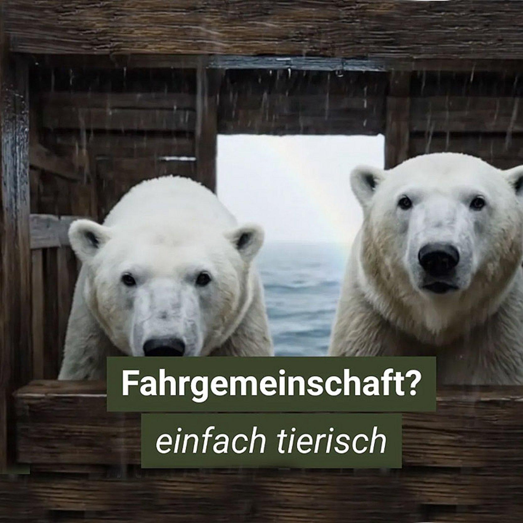EKD-Klimakampagne Generiertes Bild mit zwei Eisbären auf der Arche Noah