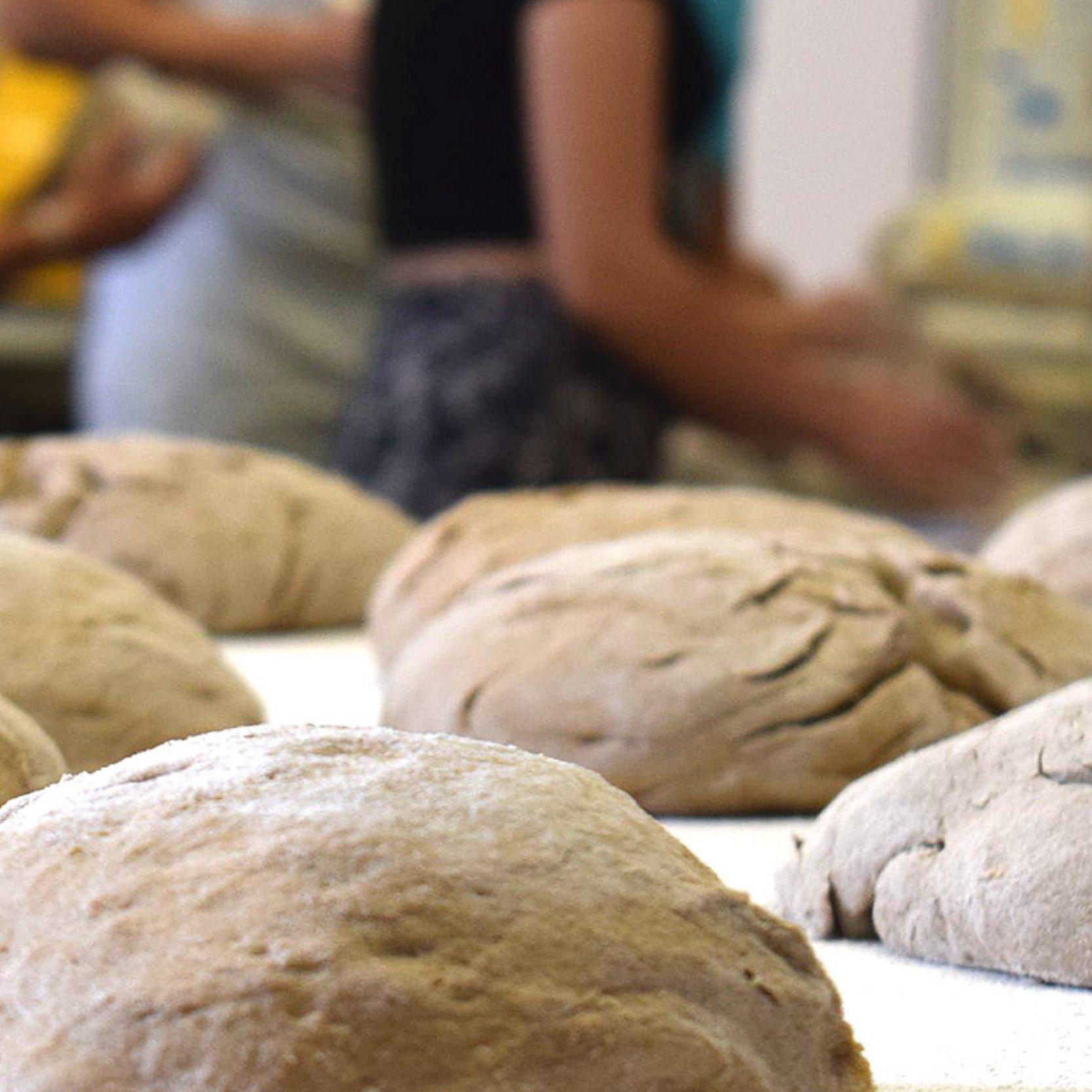 5000 Brote Im Vordergrund ein Blech mit Teigrohlingen, dahinter Jugendliche, die kneten