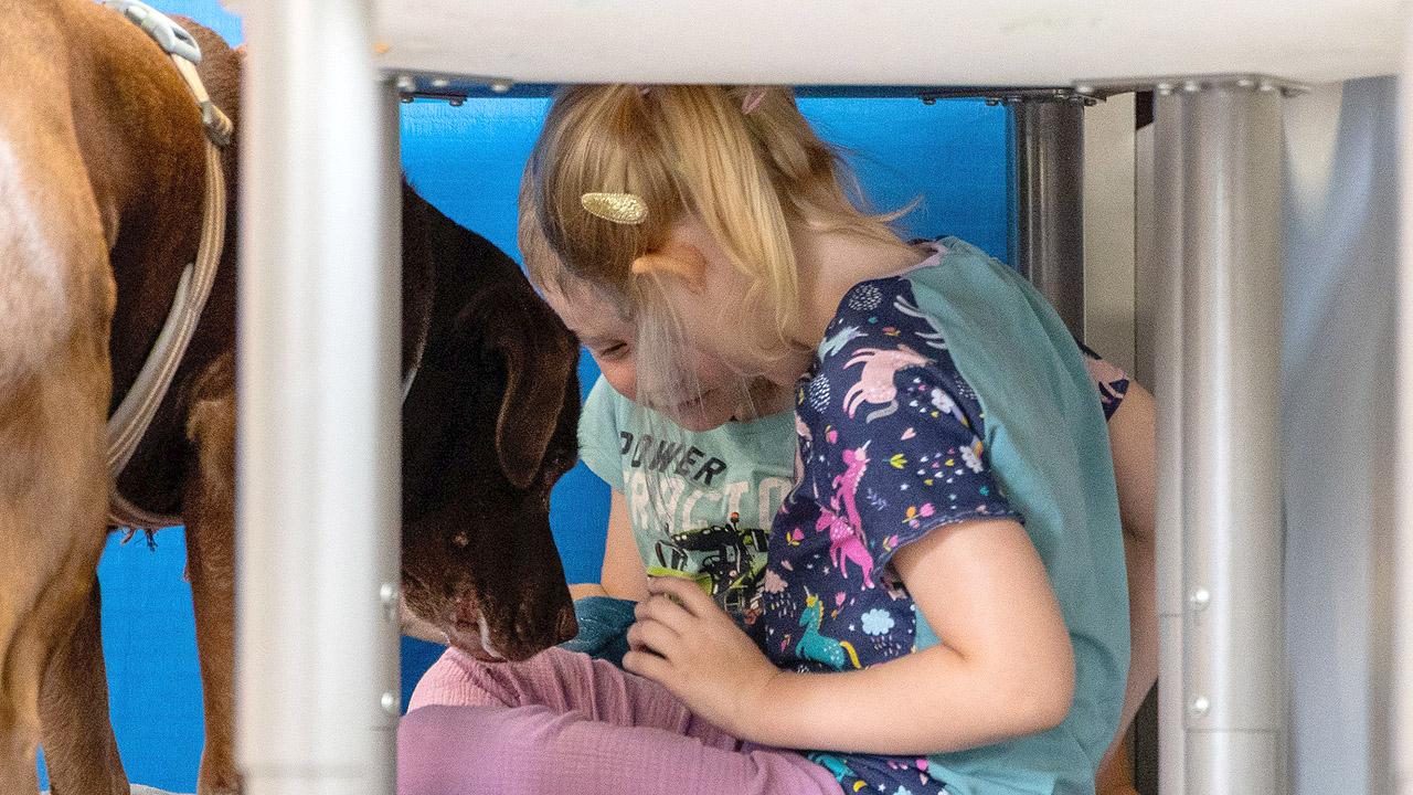 Spielerisch lernen mit Samu Kind sitzt unter einem Tisch, der Hund frisst dem Mädchen ein Leckerli aus der Hand