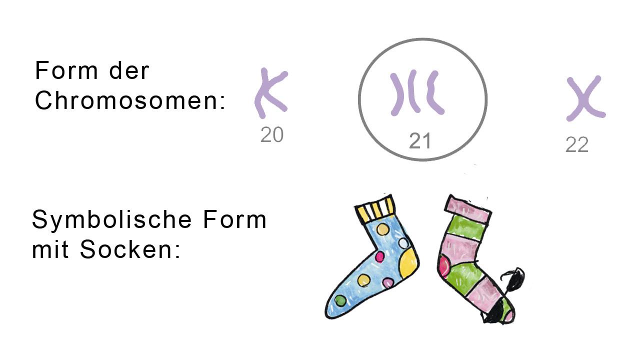 Welt-Down-Syndrom-Tag Chromosomen im Vergleich zu Socken