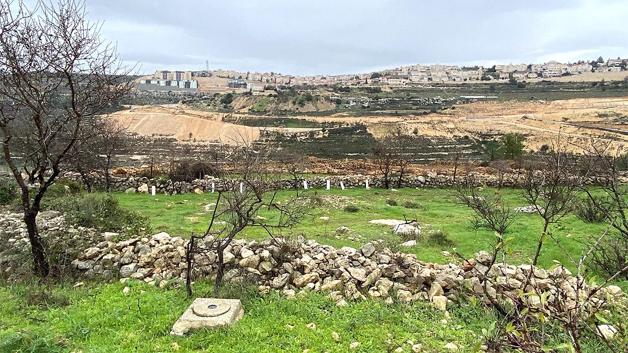 Palästina Gras und mittelhohe Pflanzen mit niedrigen Steinmauern umschlossen, in weiter Ferne sind moderne Gebäude