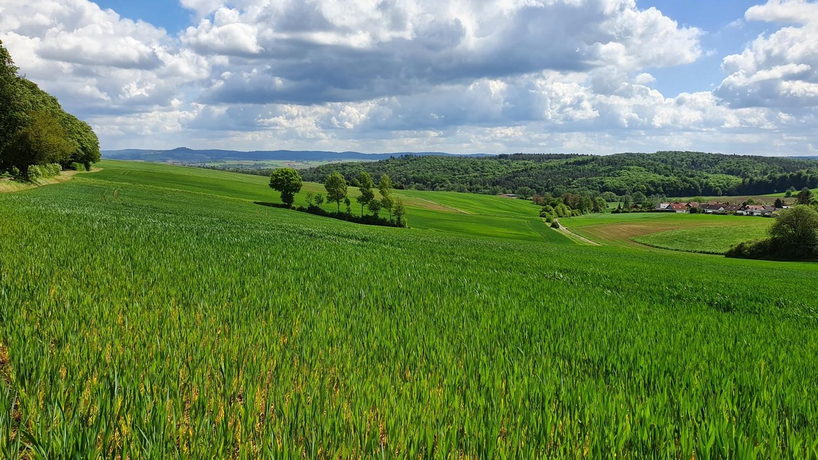 Ein Frühlingsbild zeigt ein grünes Feld im Odenwald. Sonne scheint. Aber am Himmel sind viel weiße und graue Wolken zu sehen.