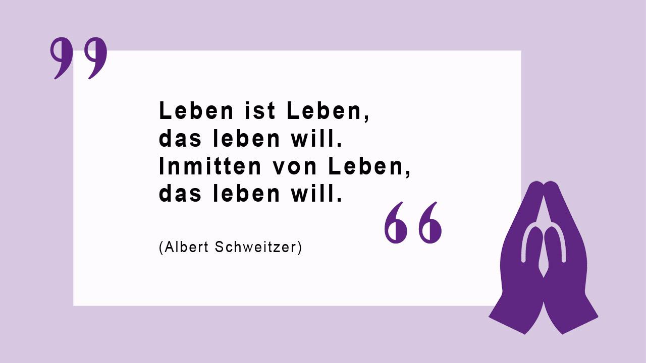 Leben ist Leben, das leben will. Inmitten von Leben, das leben will. (Albert Schweitzer)